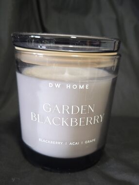 DW Home Garden Blackberry Candle - Light Gray Glass